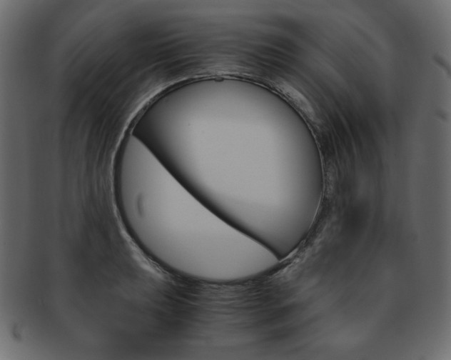 X0000093161039200709261032