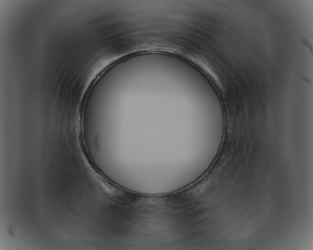 X0000093161040200709261032