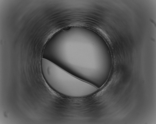 X0000093161041200709261032