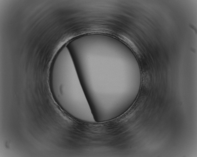 X0000093161043200709261032