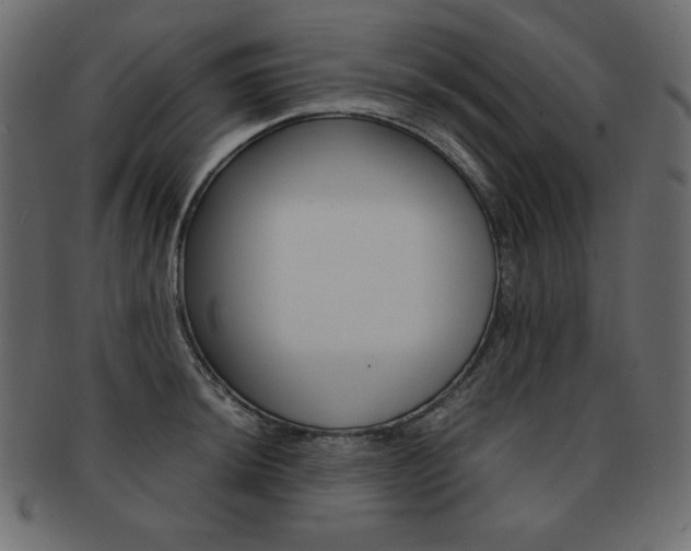 X0000093161044200709261032