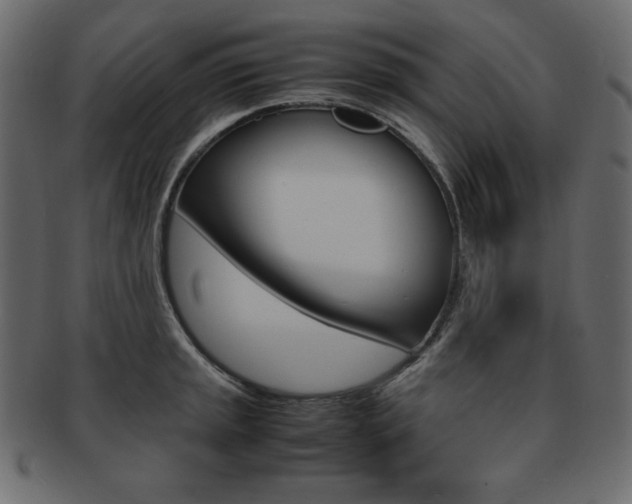 X0000093161045200709261032