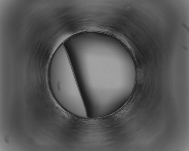X0000093161048200709261032