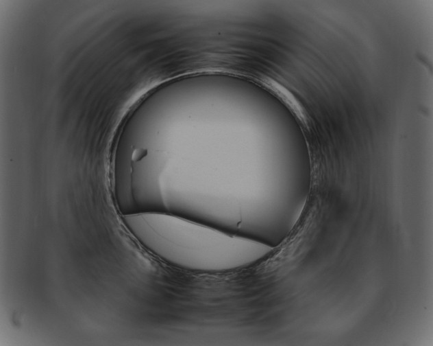 X0000093161051200709261032