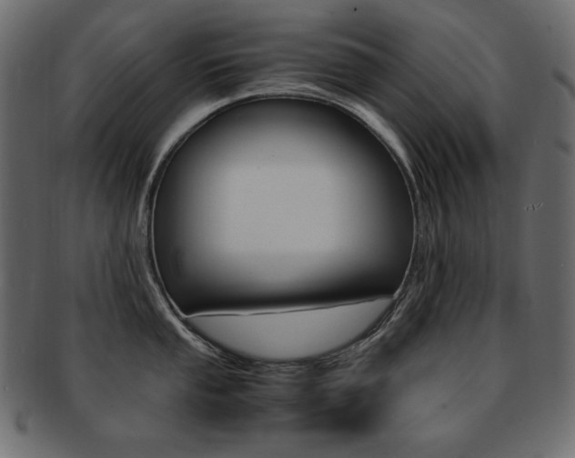 X0000093161053200709261032