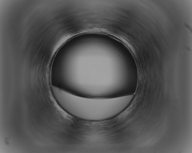 X0000093161054200709261032