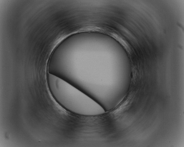 X0000093161055200709261032