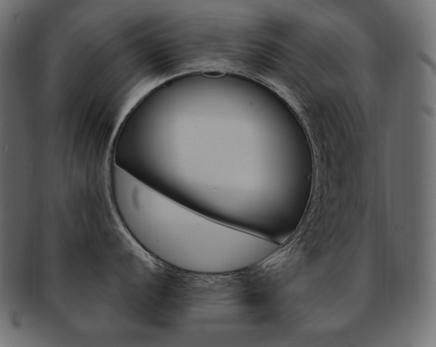 X0000093161056200709261032