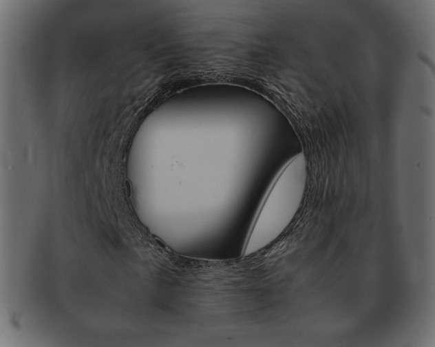 X0000093161057200709261031
