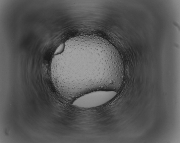 X0000093161059200709261031
