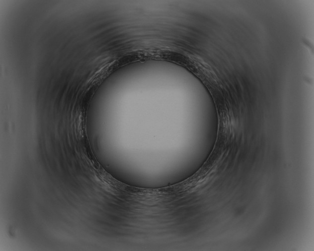 X0000093161060200709261031