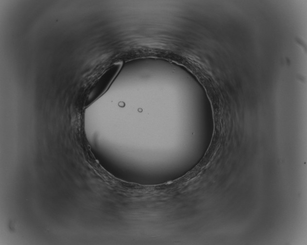 X0000093161061200709261031
