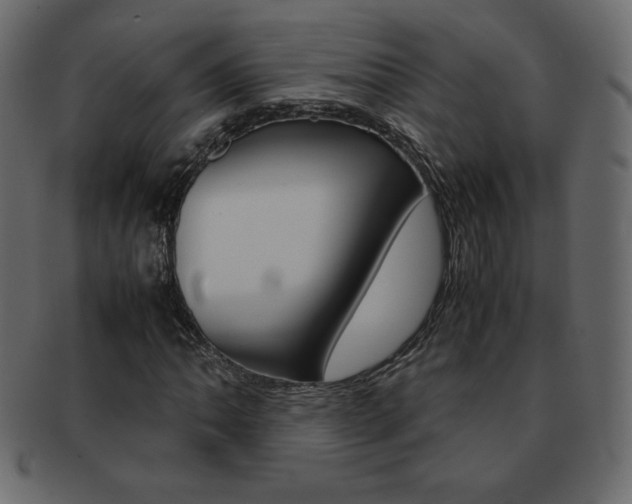 X0000093161062200709261031