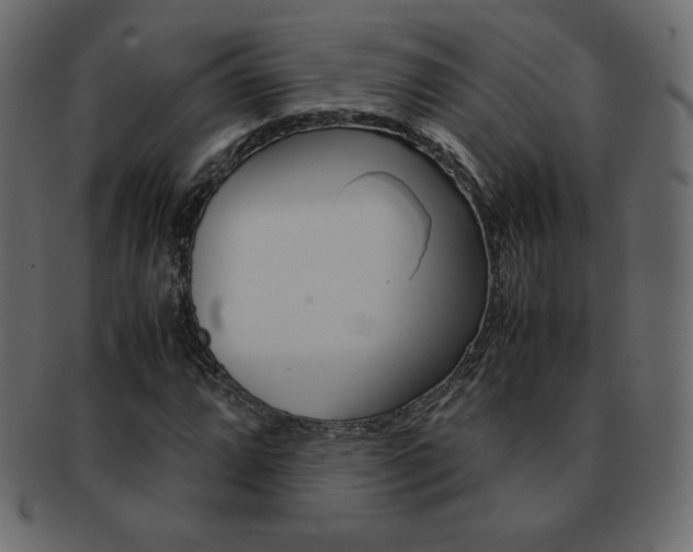 X0000093161064200709261031