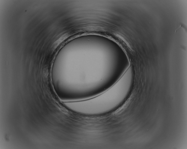 X0000093161065200709261031