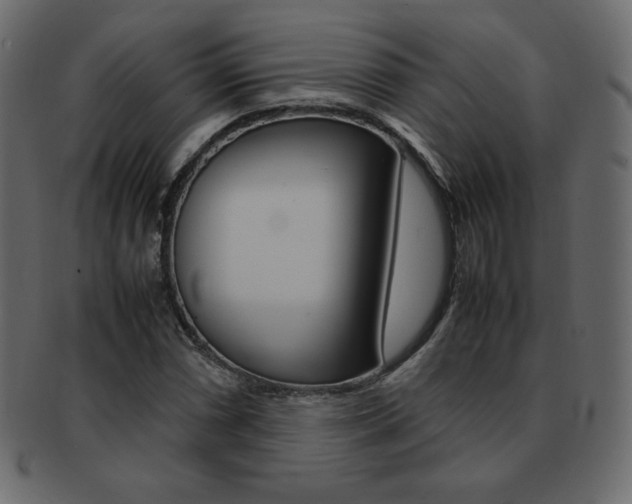X0000093161066200709261031
