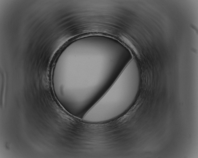 X0000093161068200709261031