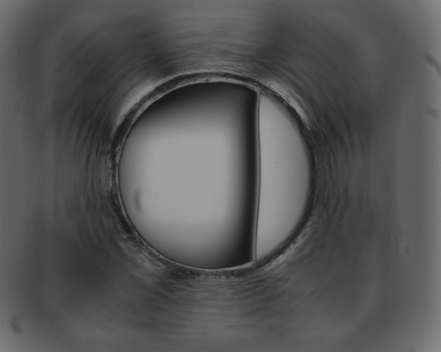 X0000093161069200709261031