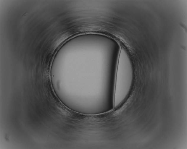 X0000093161073200709261031