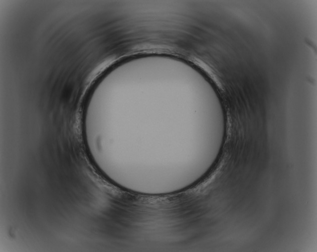 X0000093161074200709261031