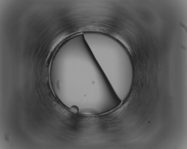 X0000093161075200709261031
