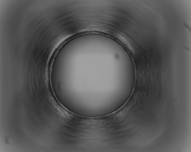 X0000093161076200709261031