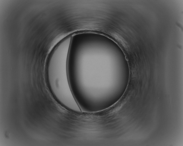 X0000093161077200709261031