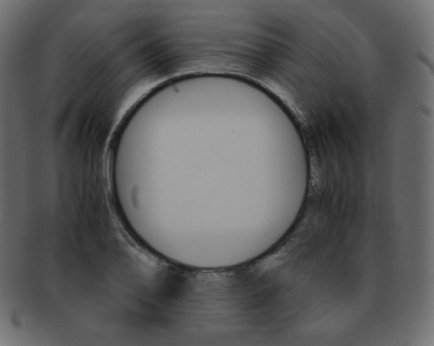 X0000093161078200709261031