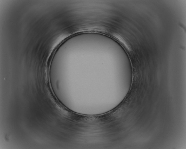 X0000093161079200709261031