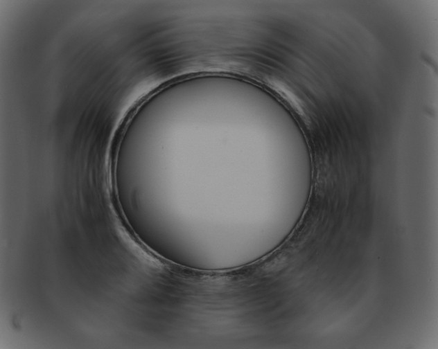 X0000093161080200709261031