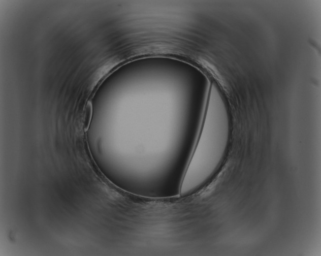X0000093161081200709261031