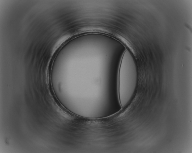 X0000093161082200709261031