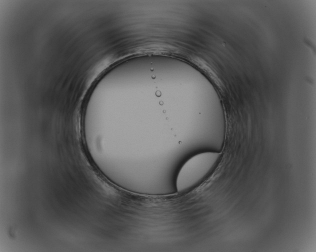 X0000093161083200709261031