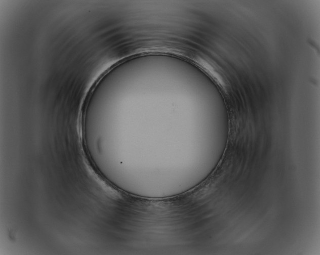 X0000093161084200709261031