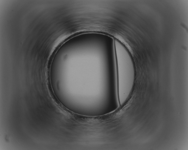 X0000093161085200709261031