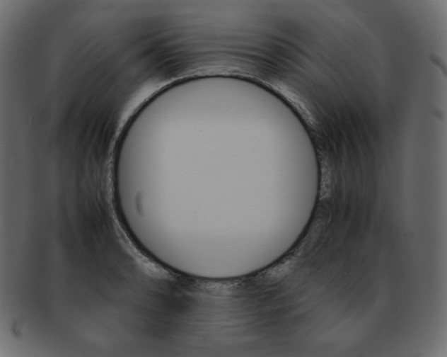 X0000093161086200709261031