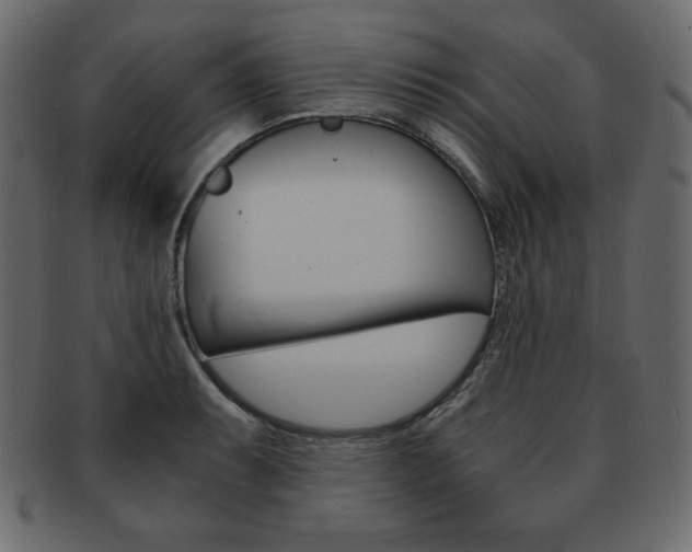 X0000093161087200709261031