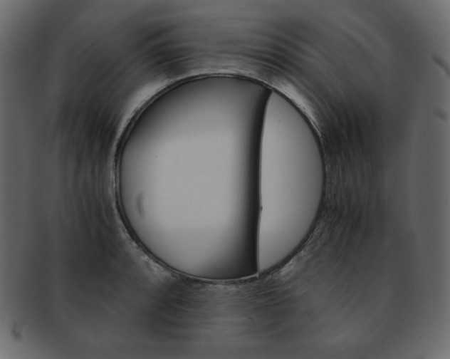 X0000093161088200709261031