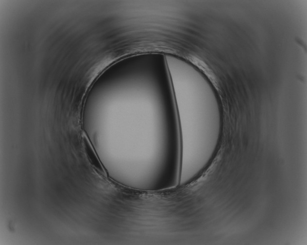 X0000093161089200709261031