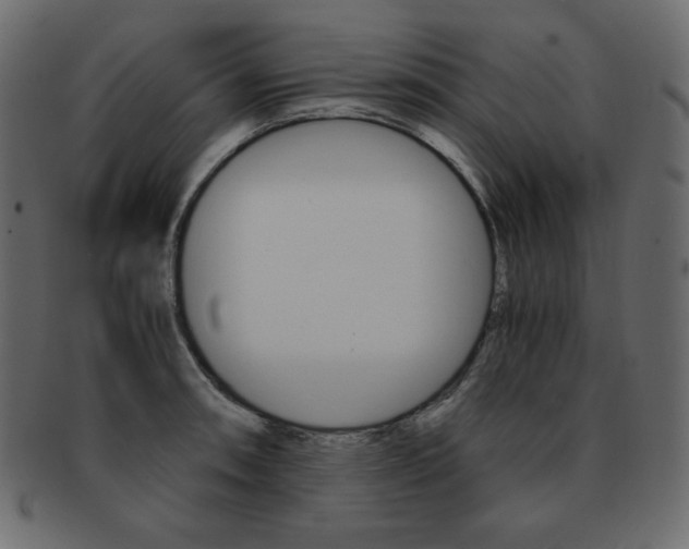 X0000093161090200709261031