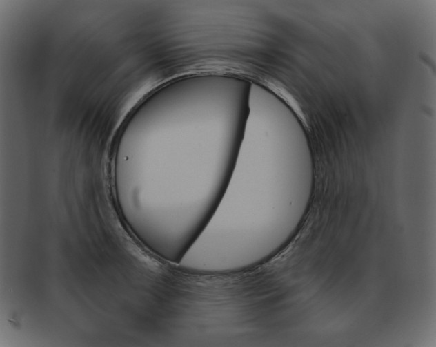 X0000093161091200709261031