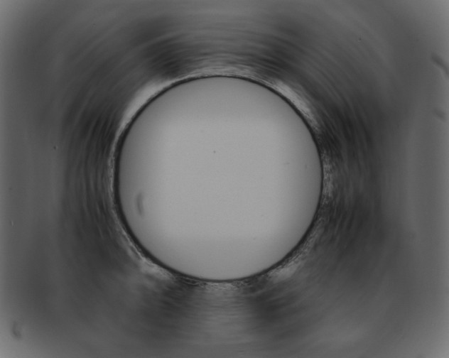 X0000093161094200709261031