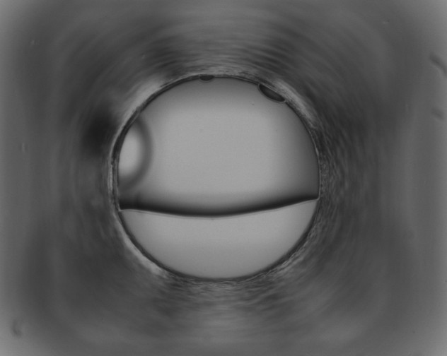 X0000093161095200709261031