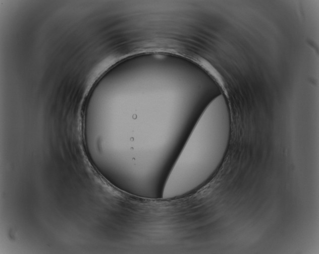 X0000093161096200709261031