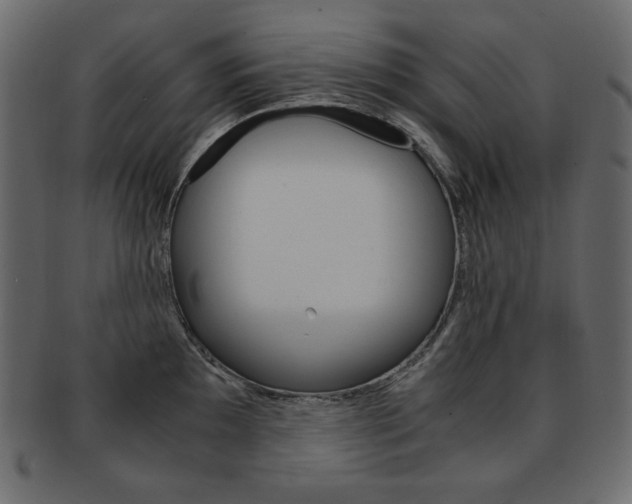 X0000093161097200709261031