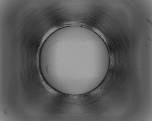 X0000093161098200709261031