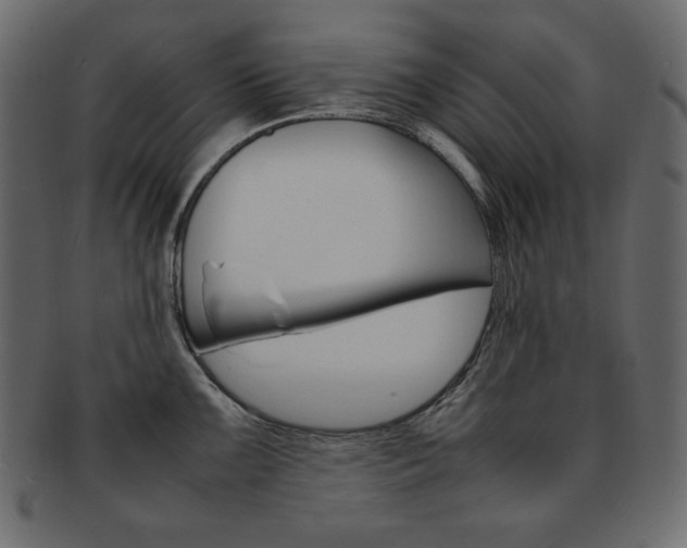 X0000093161099200709261031