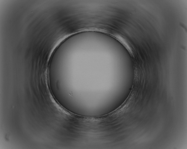 X0000093161100200709261031