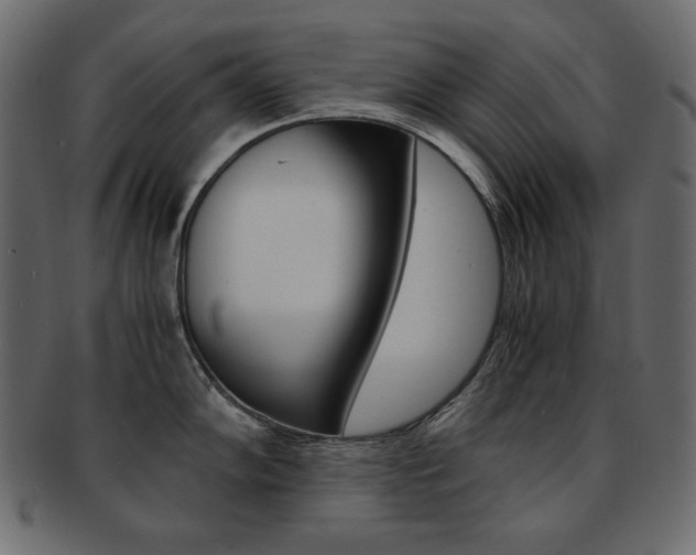 X0000093161102200709261031