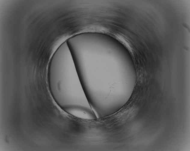 X0000093161103200709261031
